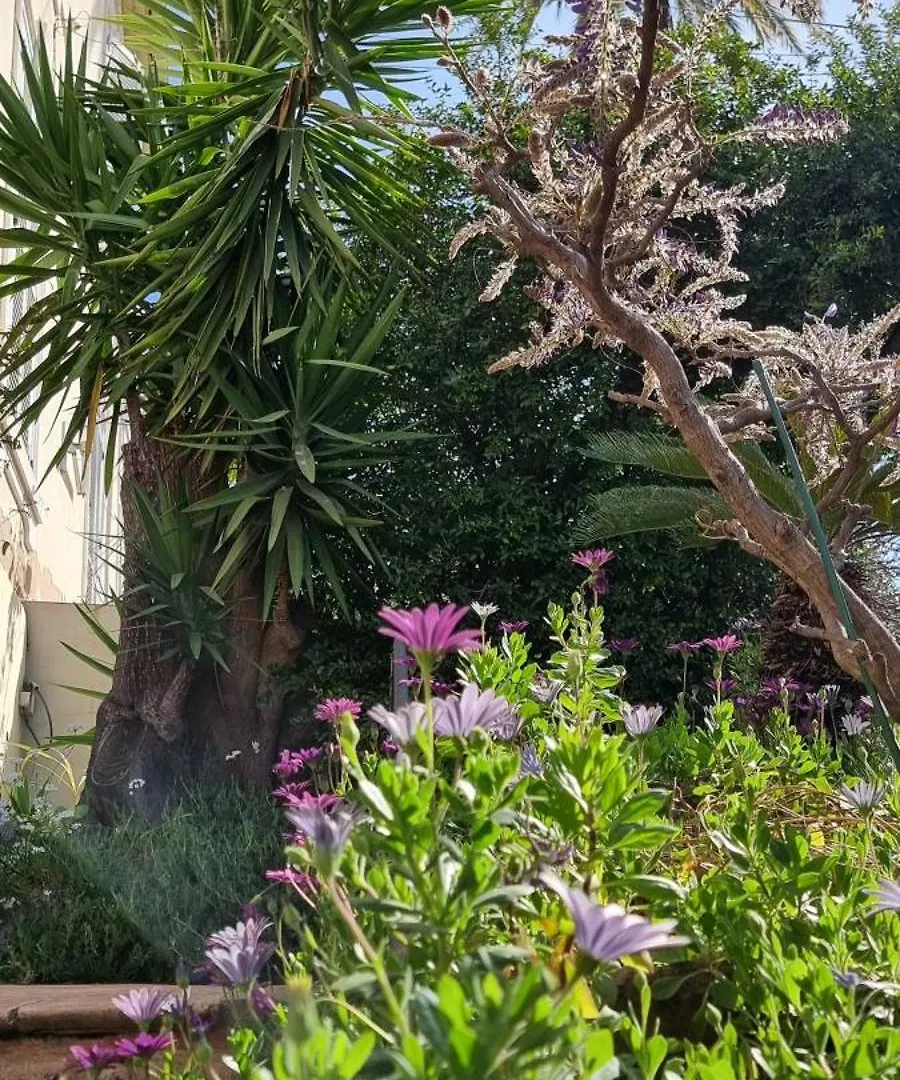 Villa Magenta Cannes 0*,